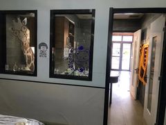 -美联众合宠物医院·爱萌分院·内外科·猫科中心