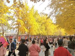 -辽宁大学(崇山校区)