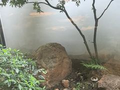 -花迹(富春江东街店)
