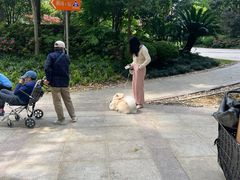 -良伴无忧宠物医院(泰欣嘉园店)