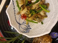 葱拌海螺-中苑海韵