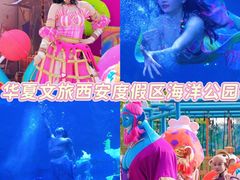 -华夏文旅海洋公园