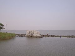 -上海吴淞炮台湾国家湿地公园