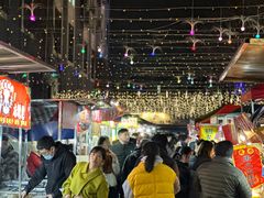 -南湖公园地摊集市