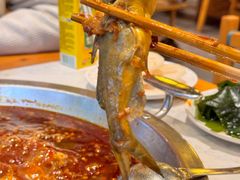 -莽子老火锅自助火锅(通锦桥路店)