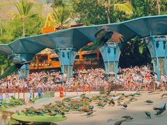 -西双版纳原始森林公园