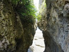-鹅銮鼻公园