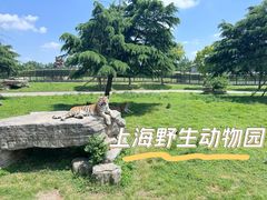 -上海野生动物园
