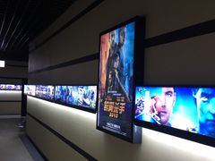 -华美国际影城(旧宫永辉店)