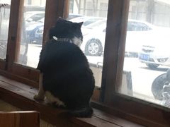 -猫爷的腔调·黔小馆(交大医学住宅区店)