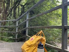 -龙苍沟森林公园