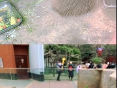 -成都动物园