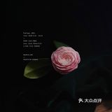 今日份花事 · 关于花的原图