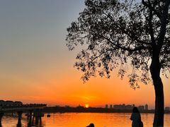 -金鸡湖景区