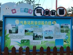 -白鹭洲公园