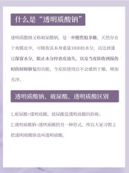 点击看大图 -玛莲朵·海菲秀冰珀科