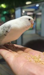 -酷嗒动物文化乐园(cutezoo西溪乐天城店)