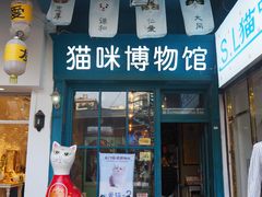 -猫咪博物馆(顶澳仔猫街店)
