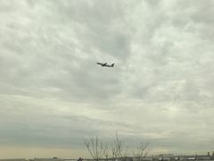 -纽瓦克自由国际机场