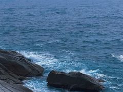 -广东惠东海龟国家级自然保护区