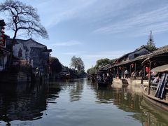-西塘人家•黑金冠本地好店