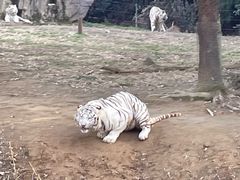 -杭州野生动物世界