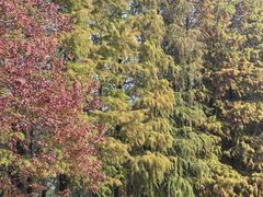 -艾溪湖湿地公园