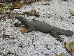 -Let's Relax Spa(Phuket 3rd Street)