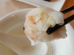 -金苑海鲜酒家(来魅力店)