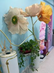 -斐尔国际皮肤管理中心