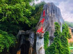 -青峰峡国家森林公园