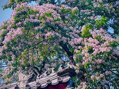 -颐和园