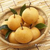 别有冰糖般的甘甜冰凉。品种涵盖丰水、秋月、南水、华山等