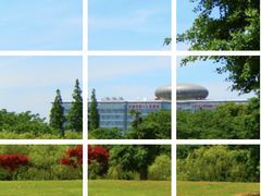 -上海市第一人民医院(松江南部)