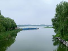 -大兴滨河森林公园