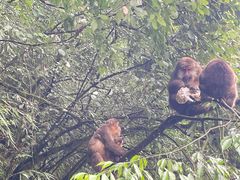 -西岭雪山大飞水景区