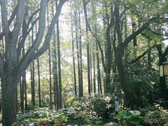 -上海醉白池公园
