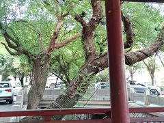 -文儒九号·闽菜馆(三坊七巷店)