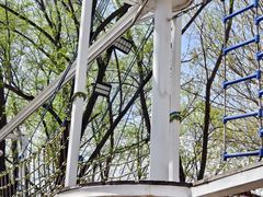 -长白岛森林公园