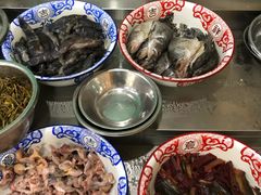 -龙小海荆沙鸽子店(瑞安街店)