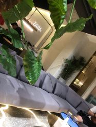 -ZAGA形象设计