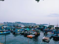 -中环5号码头