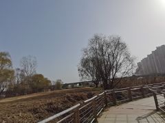 -西安浐灞国家湿地公园
