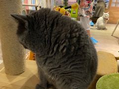 -小时光咖啡馆(开森度假森林店)