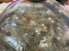 -王潮活海鲜自助·蒸汽海鲜