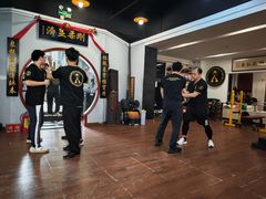 -温鉴良实用咏春拳