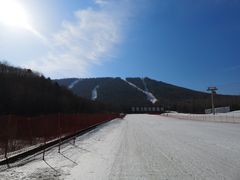 -亚布力新体委滑雪场