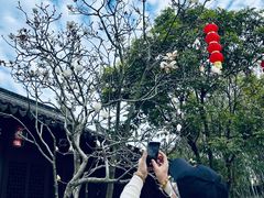 -南沙蒲洲花园