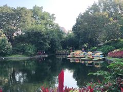 -晓港公园
