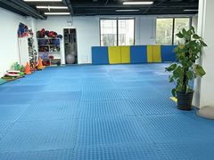 -陈中跆拳道(中关村馆)